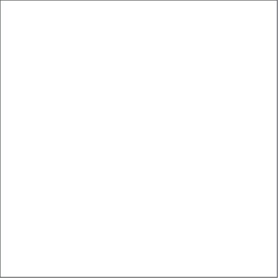 60x60cm Exquisite Porcelain Gloss