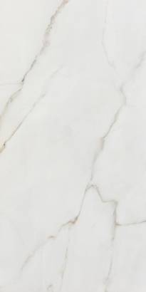 60x120cm RAK Polished Marbles