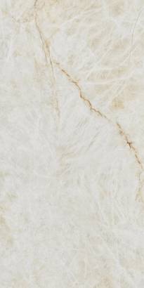 60x120cm RAK Polished Marbles