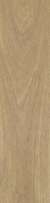 19.5x120cm Sapien Wood Porcelain