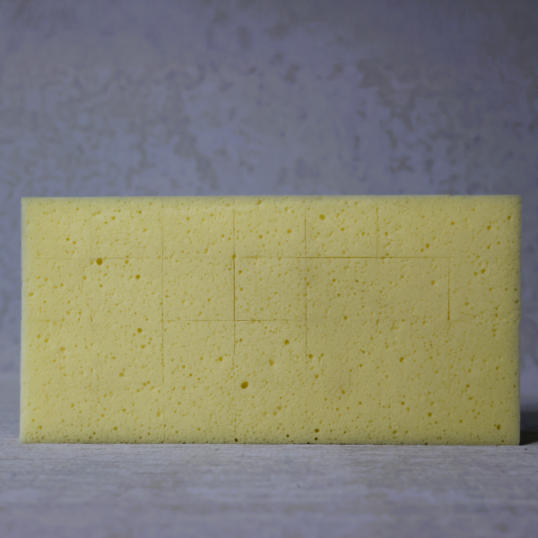 Beava Washboy Sponge and Handle