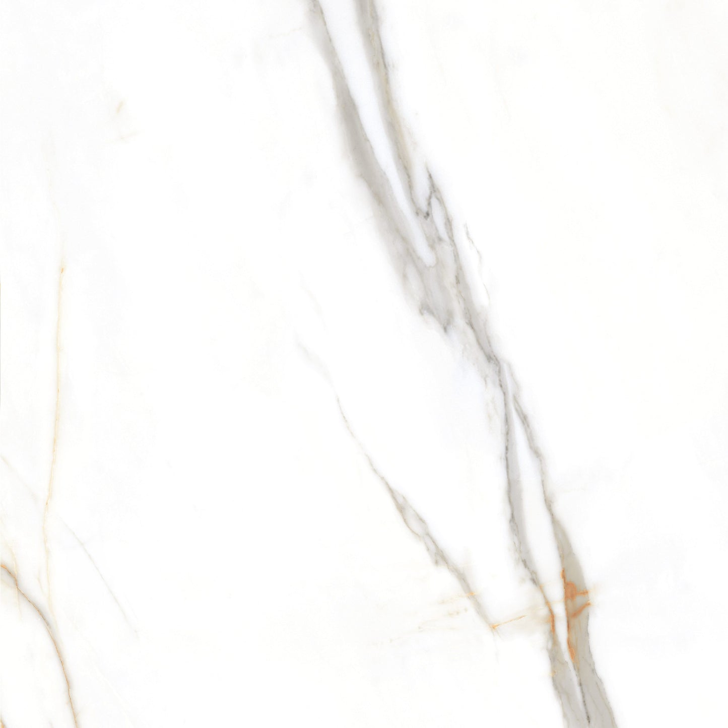 60x60cm Luton Porcelain