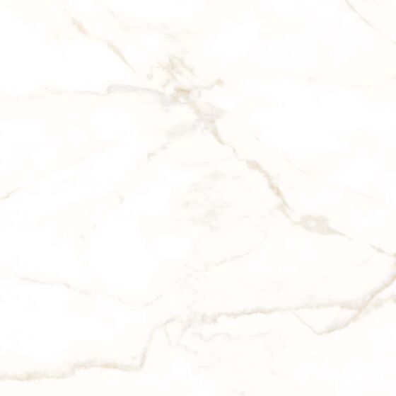 60x60cm Goldman Porcelain Floor
